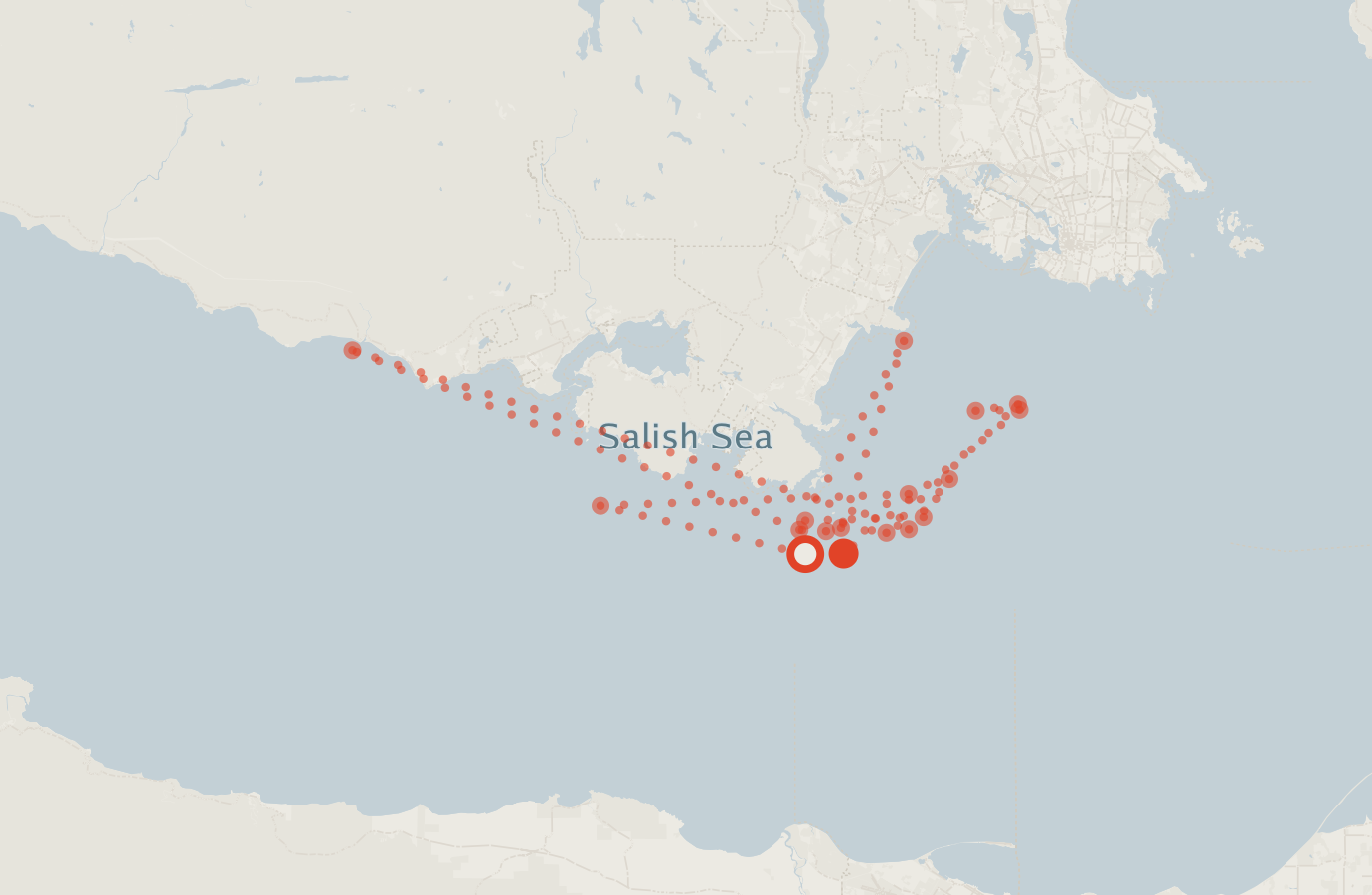 Activity map — real sighting points on an OpenStreetMap basemap