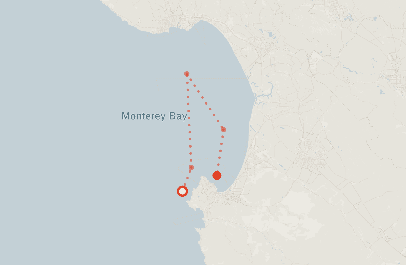 Activity map — real sighting points on an OpenStreetMap basemap