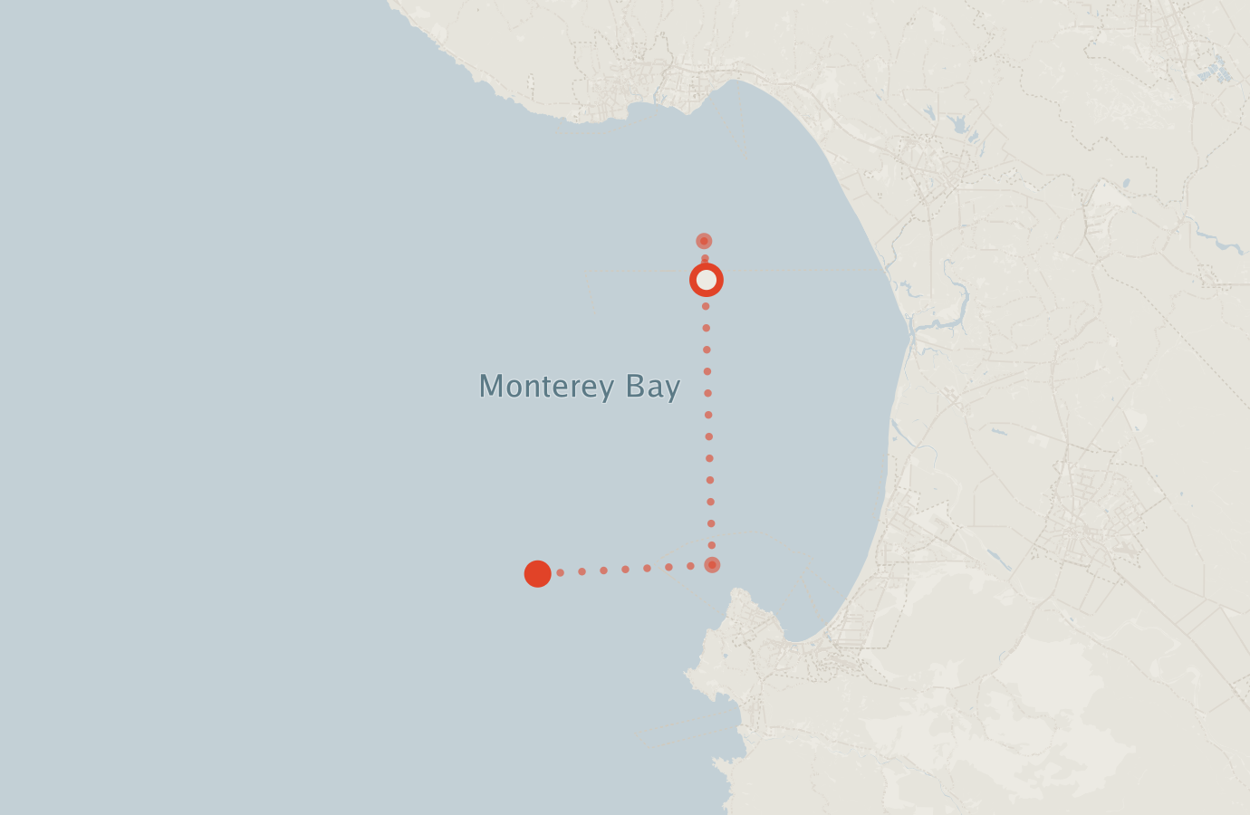 Activity map — real sighting points on an OpenStreetMap basemap