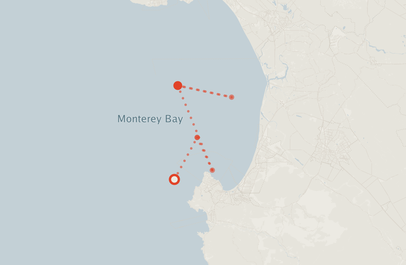 Activity map — real sighting points on an OpenStreetMap basemap