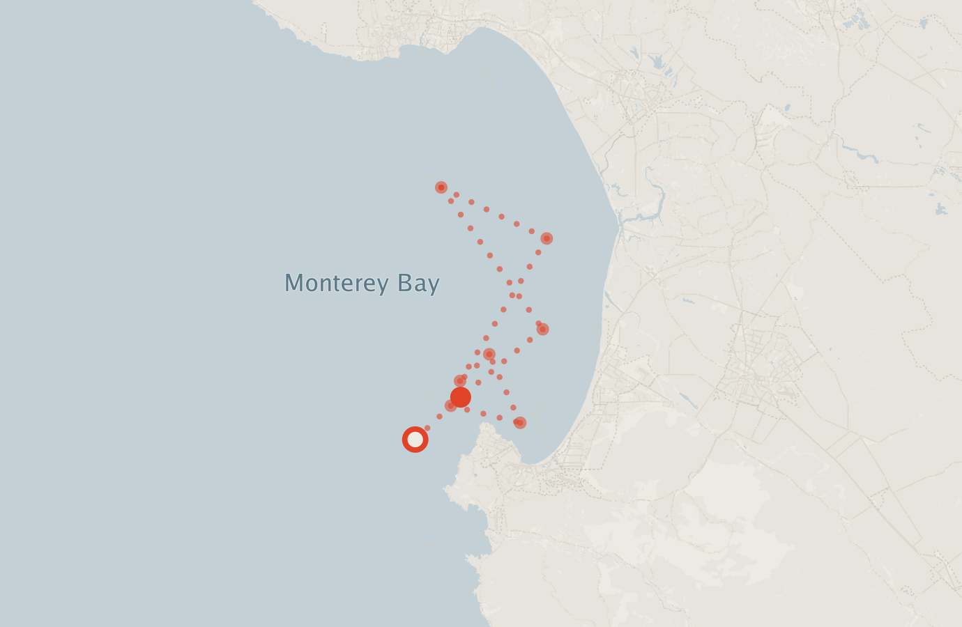 Activity map — real sighting points on an OpenStreetMap basemap