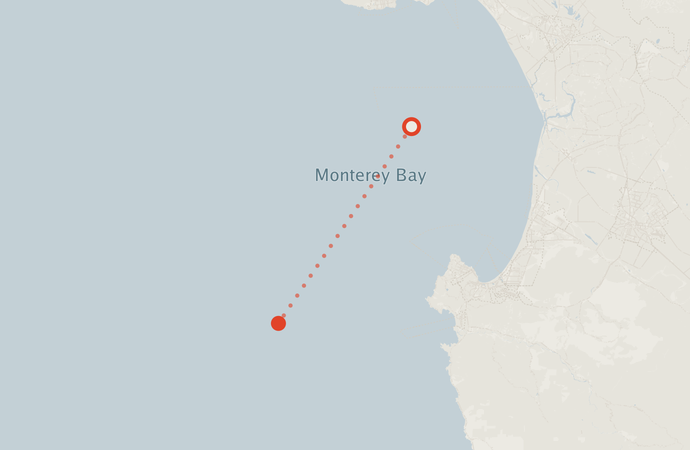 Activity map — real sighting points on an OpenStreetMap basemap