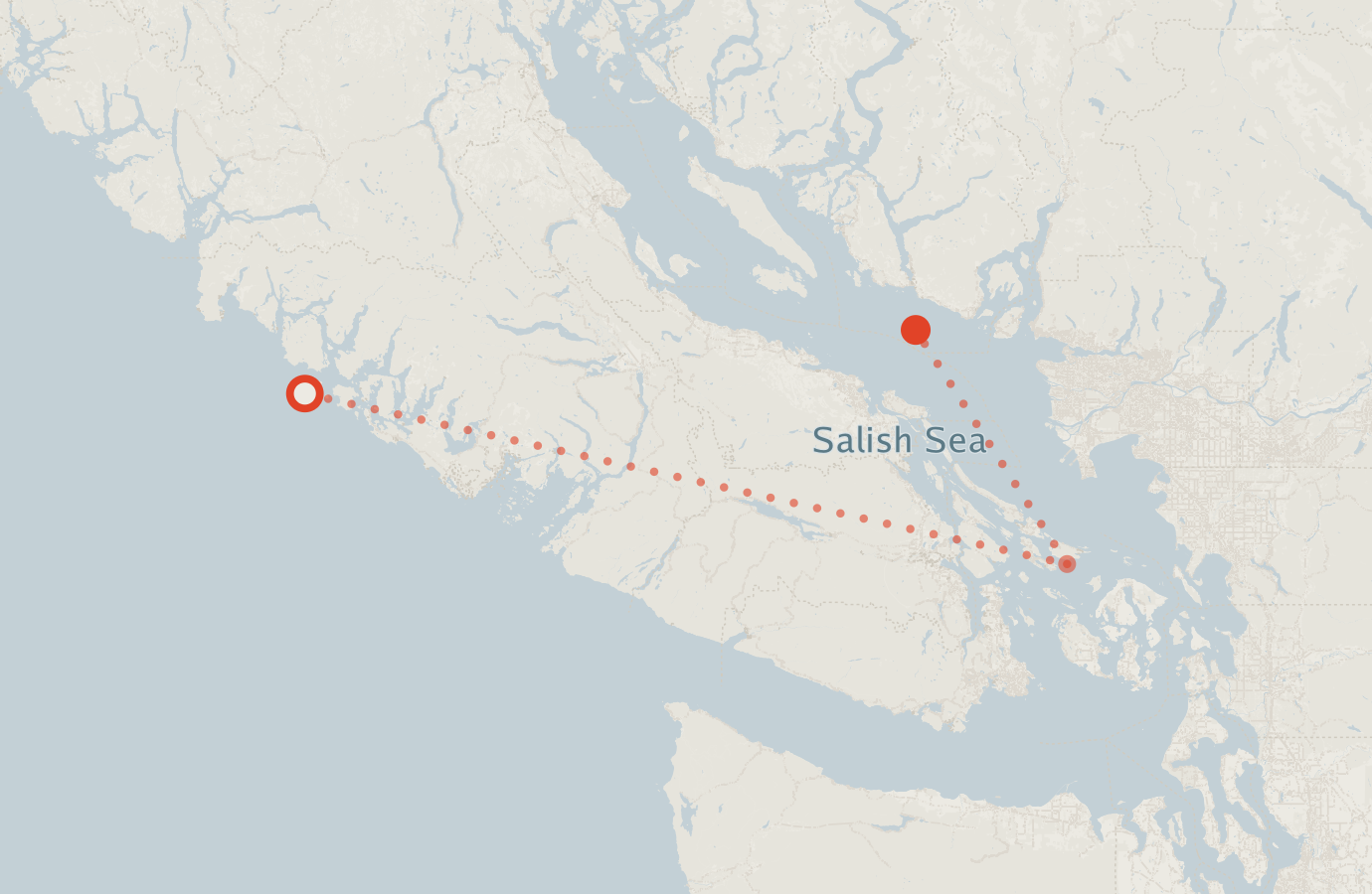 Activity map — real sighting points on an OpenStreetMap basemap