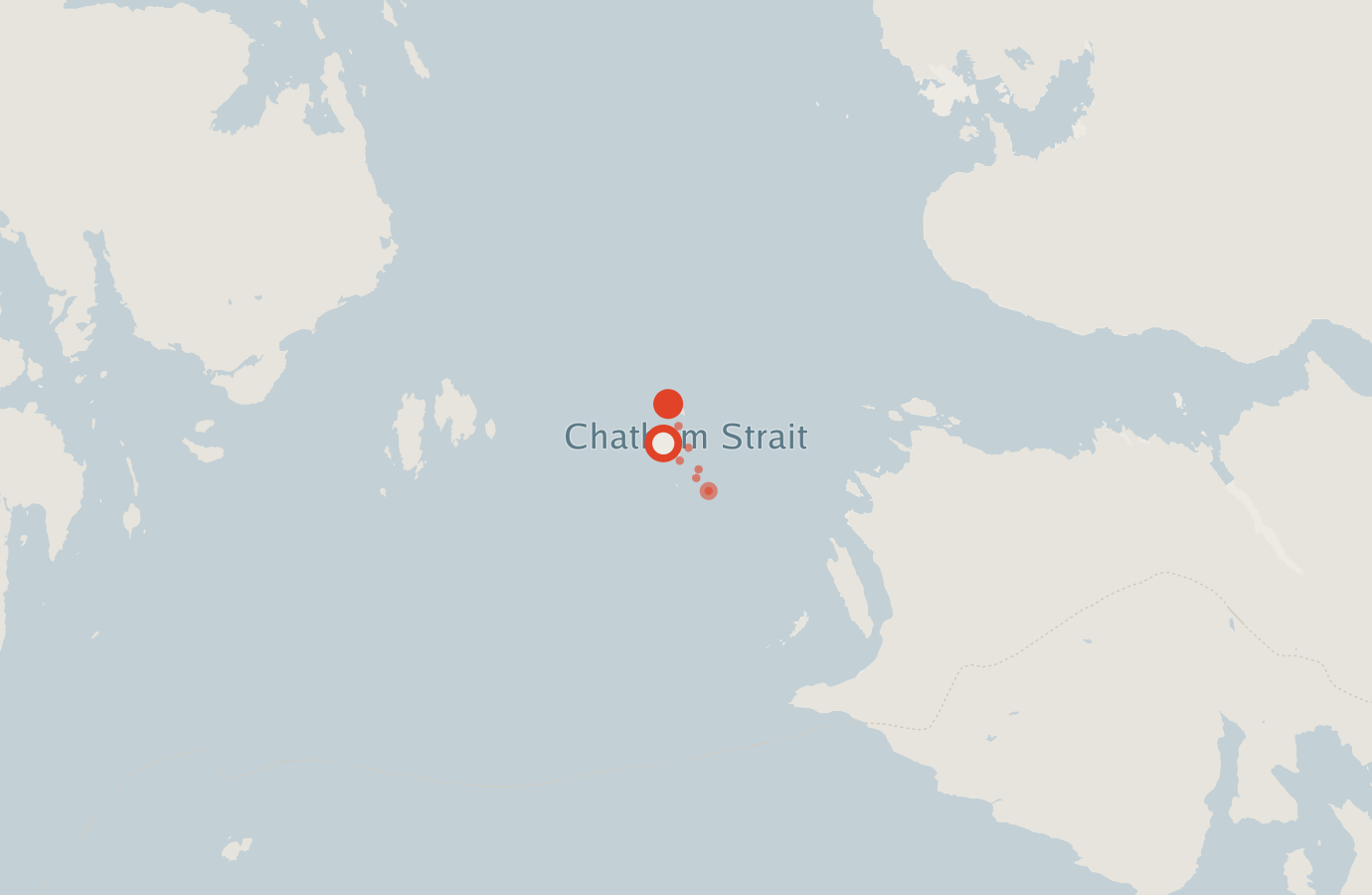 Activity map — real sighting points on an OpenStreetMap basemap