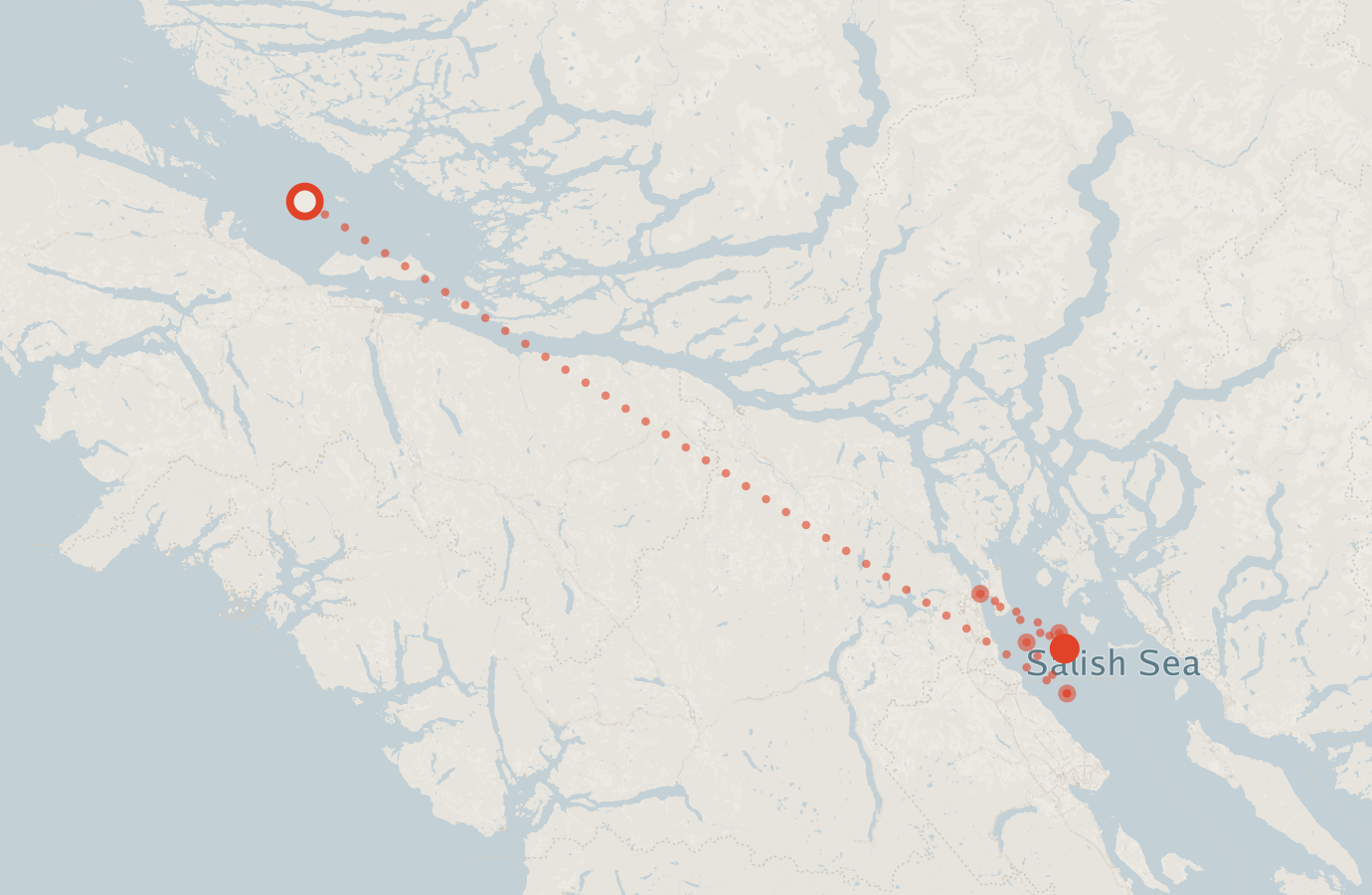 Activity map — real sighting points on an OpenStreetMap basemap