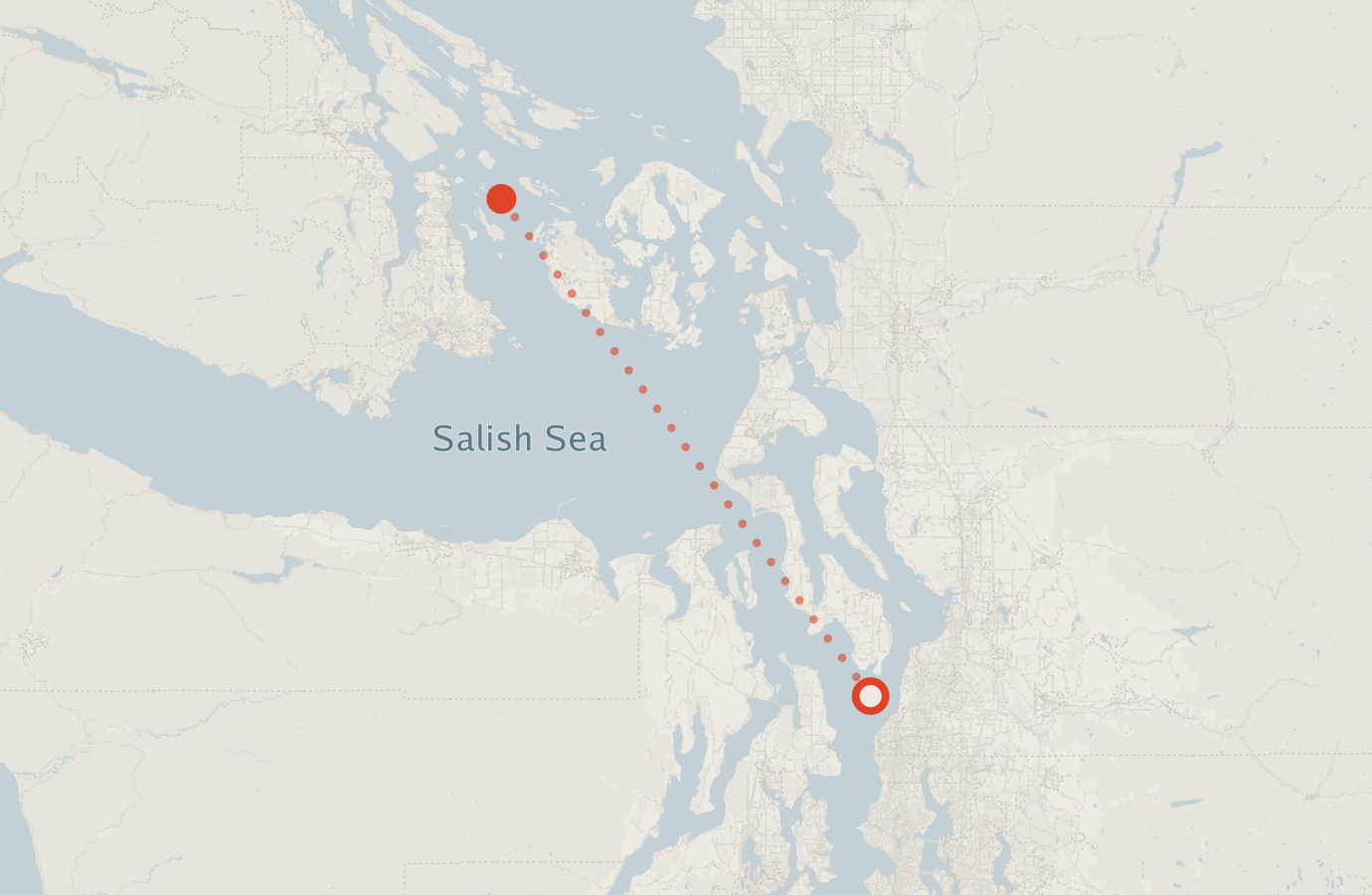 Activity map — real sighting points on an OpenStreetMap basemap