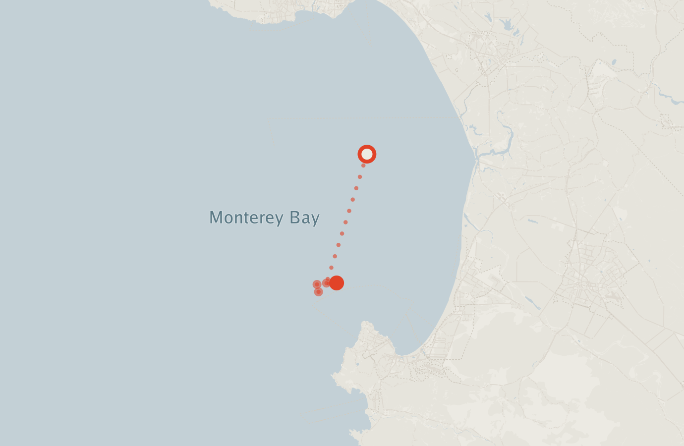 Activity map — real sighting points on an OpenStreetMap basemap