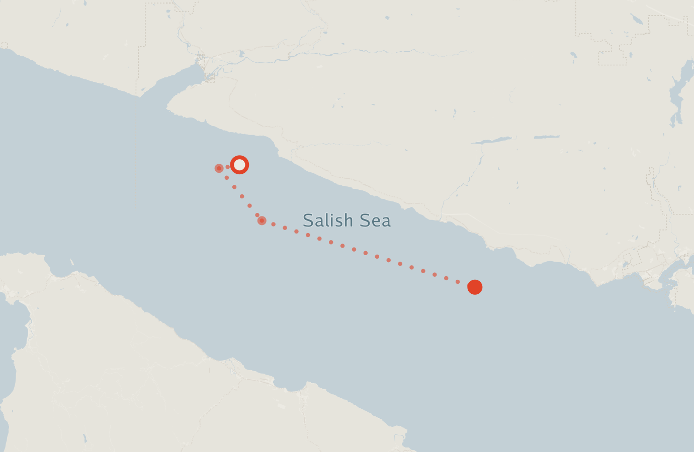 Activity map — real sighting points on an OpenStreetMap basemap