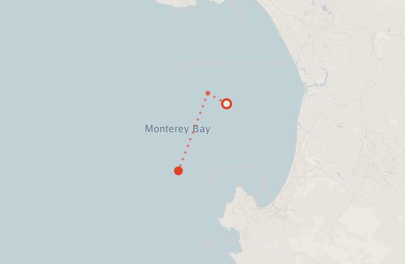 Activity map — real sighting points on an OpenStreetMap basemap