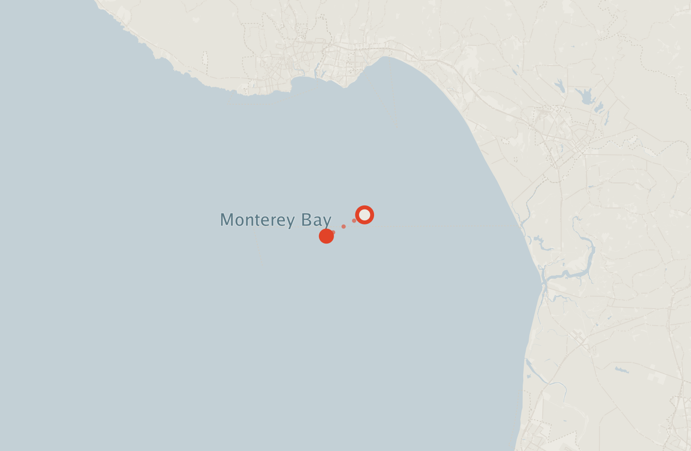 Activity map — real sighting points on an OpenStreetMap basemap