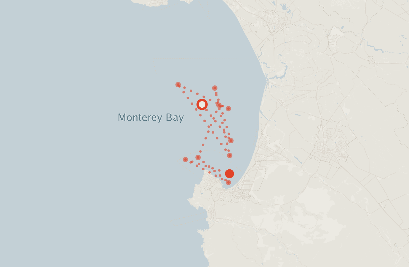 Activity map — real sighting points on an OpenStreetMap basemap