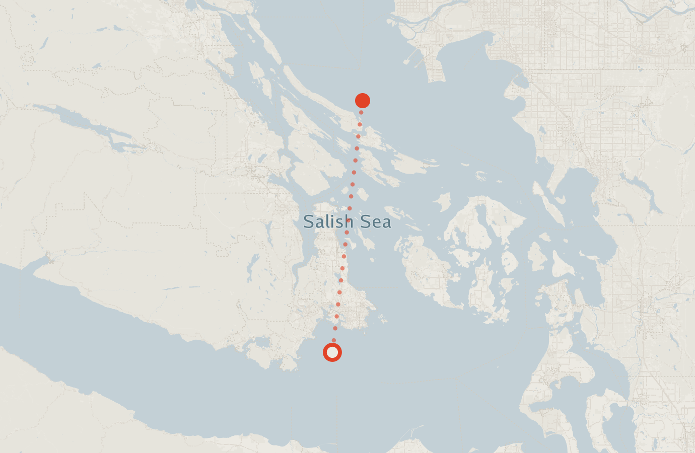 Activity map — real sighting points on an OpenStreetMap basemap