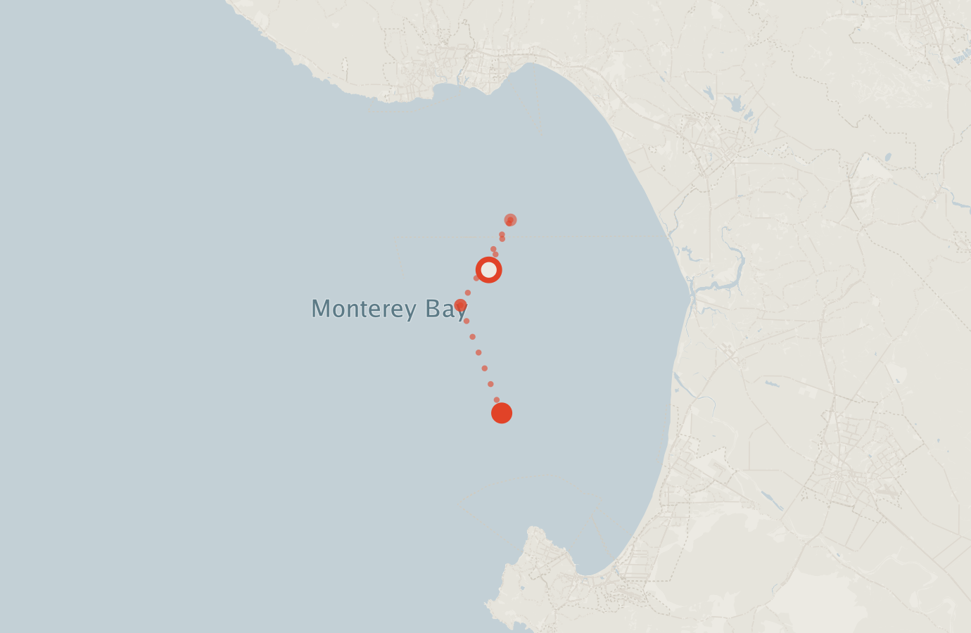Activity map — real sighting points on an OpenStreetMap basemap