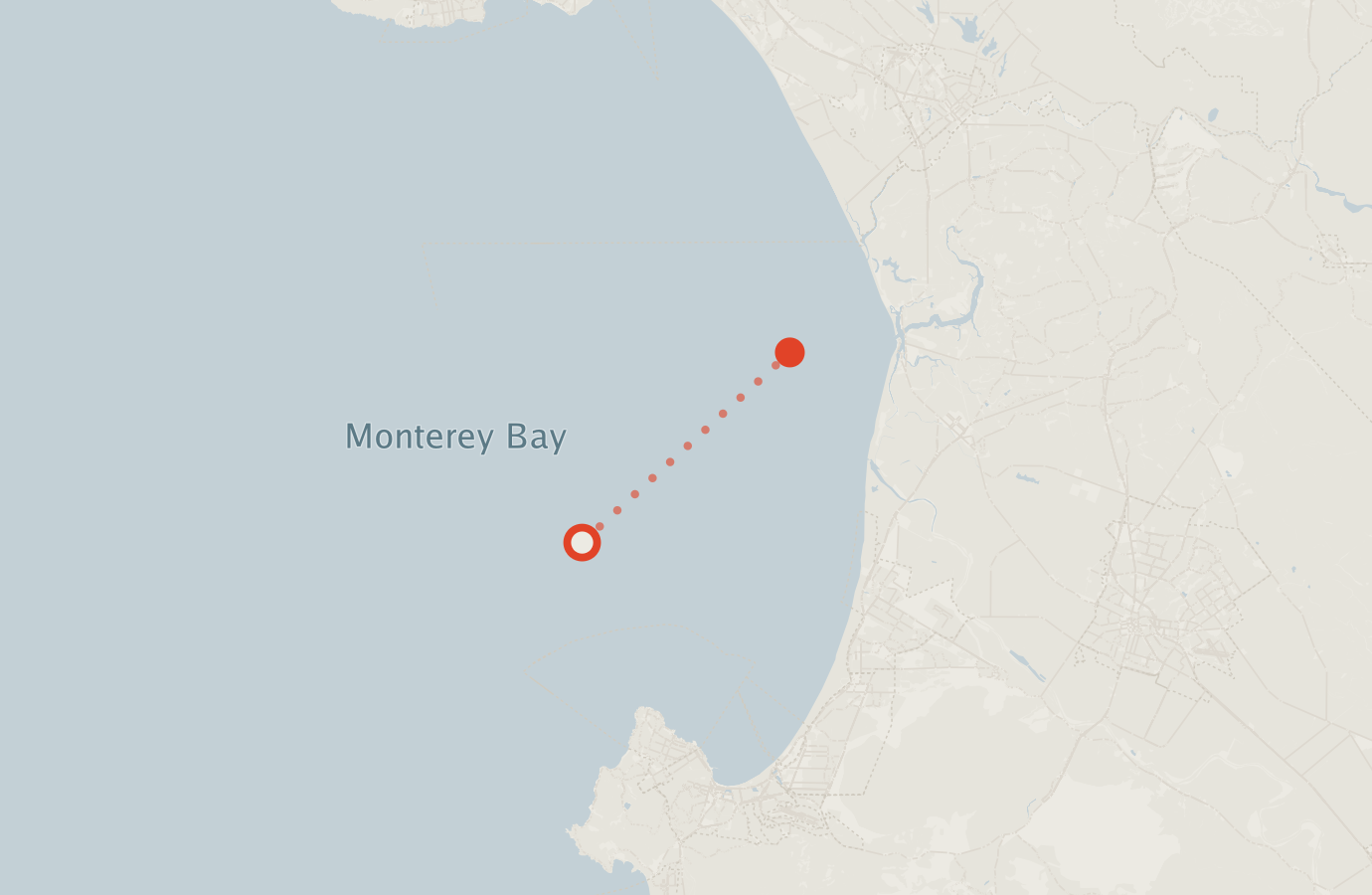 Activity map — real sighting points on an OpenStreetMap basemap