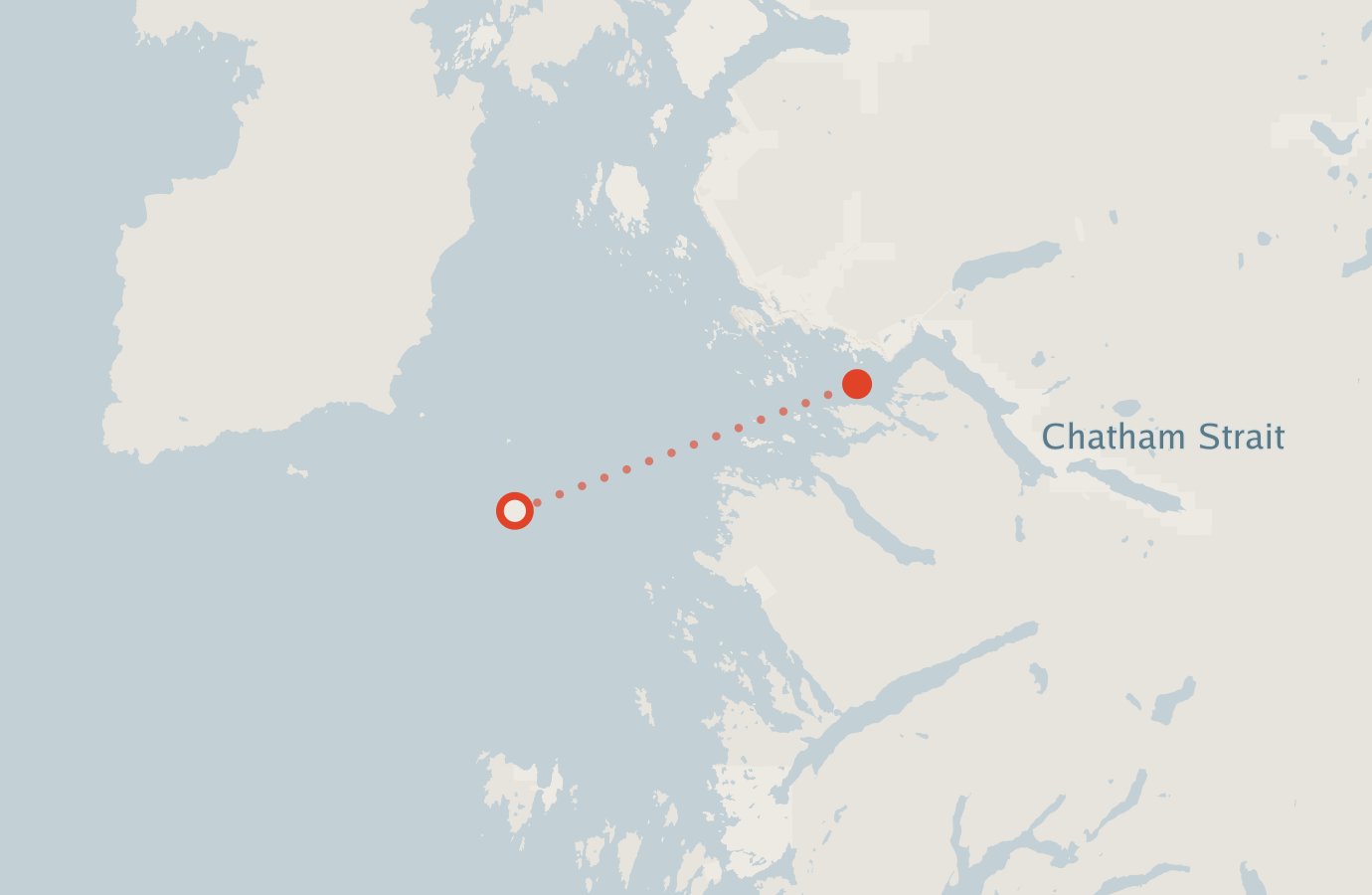 Activity map — real sighting points on an OpenStreetMap basemap