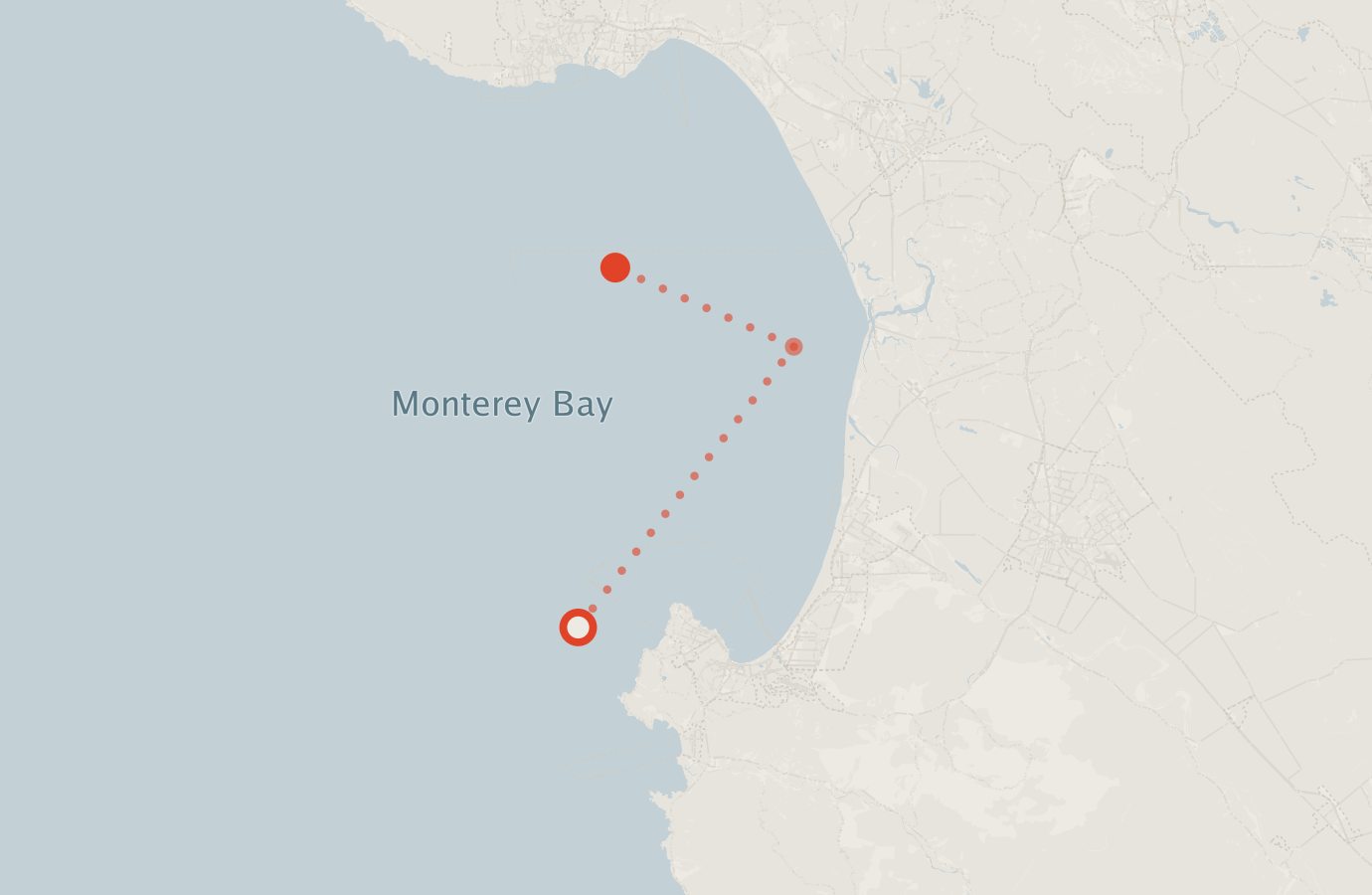 Activity map — real sighting points on an OpenStreetMap basemap