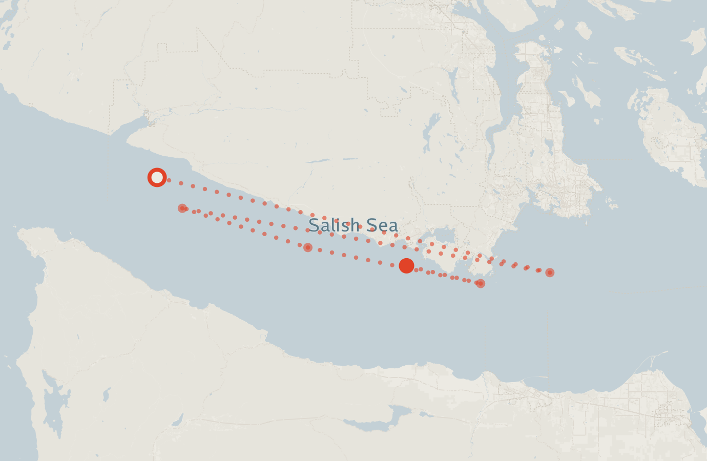 Activity map — real sighting points on an OpenStreetMap basemap