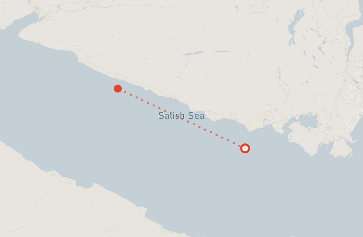 Activity map — real sighting points on an OpenStreetMap basemap