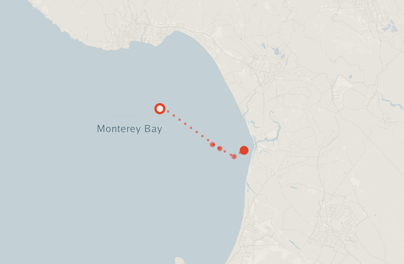 Activity map — real sighting points on an OpenStreetMap basemap