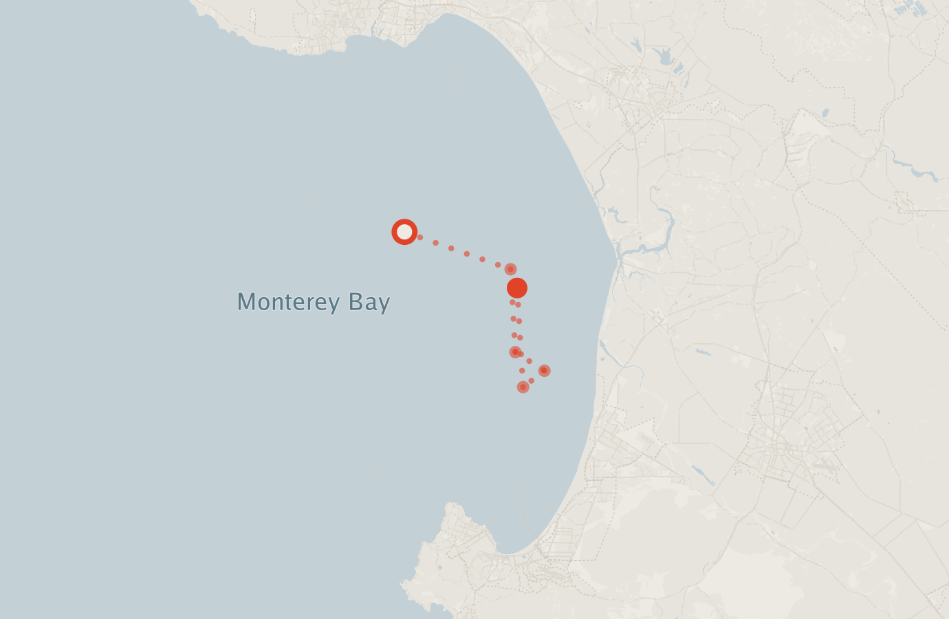 Activity map — real sighting points on an OpenStreetMap basemap