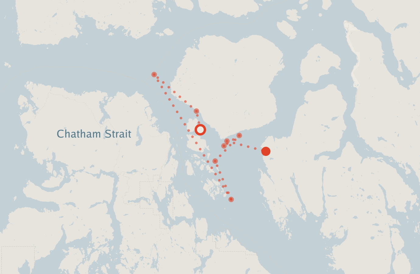 Activity map — real sighting points on an OpenStreetMap basemap
