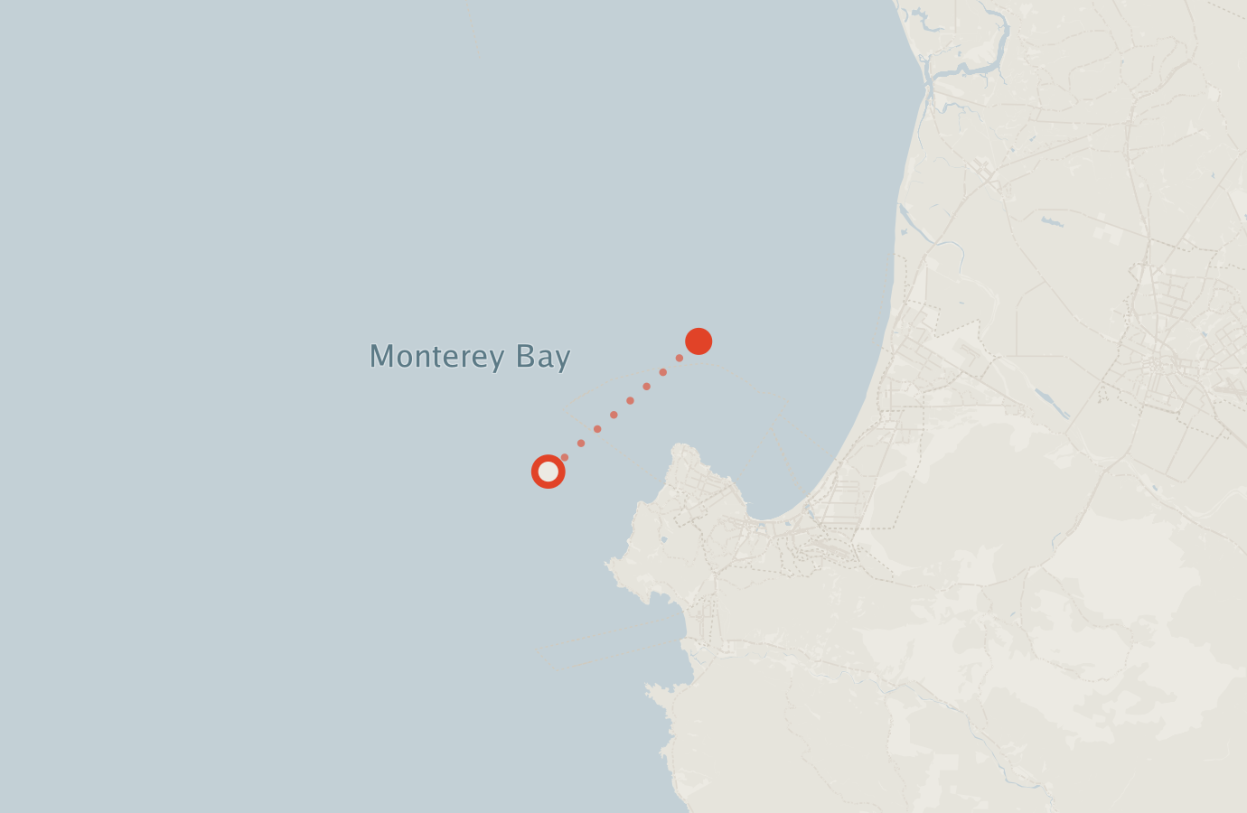 Activity map — real sighting points on an OpenStreetMap basemap