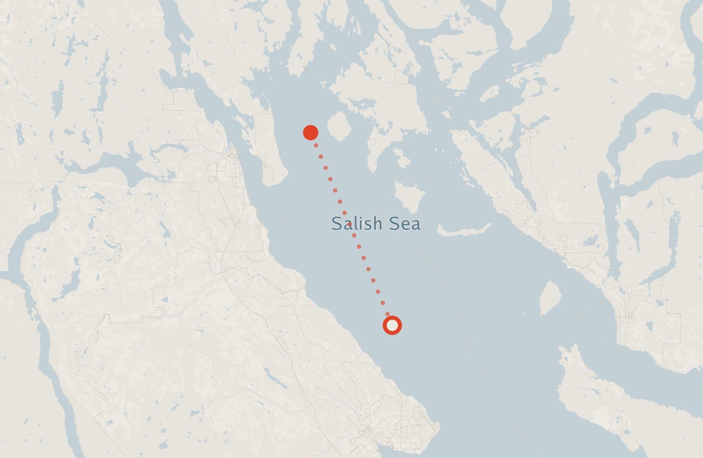 Activity map — real sighting points on an OpenStreetMap basemap