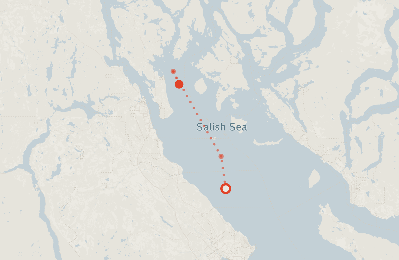 Activity map — real sighting points on an OpenStreetMap basemap