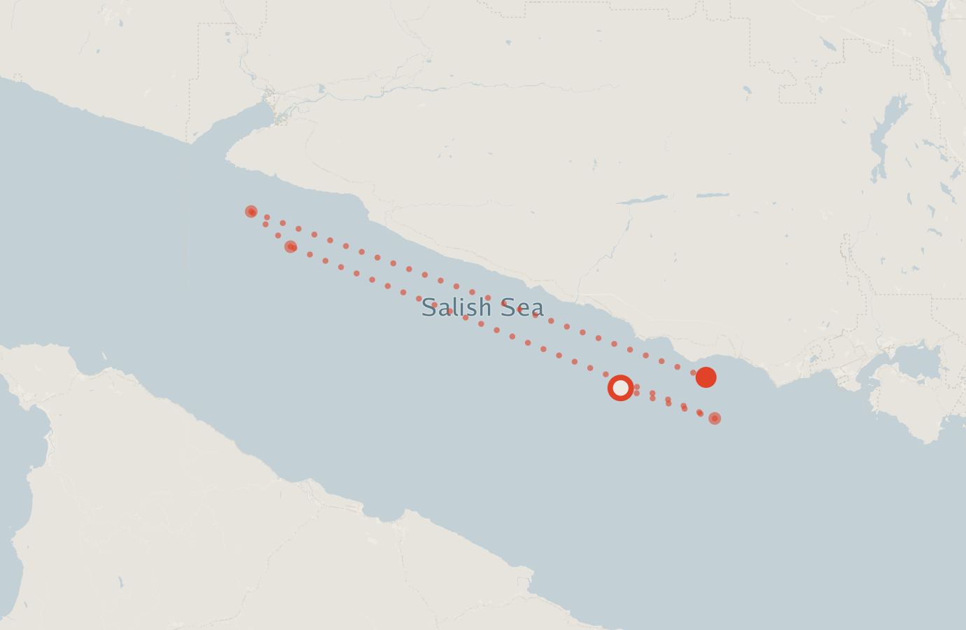 Activity map — real sighting points on an OpenStreetMap basemap