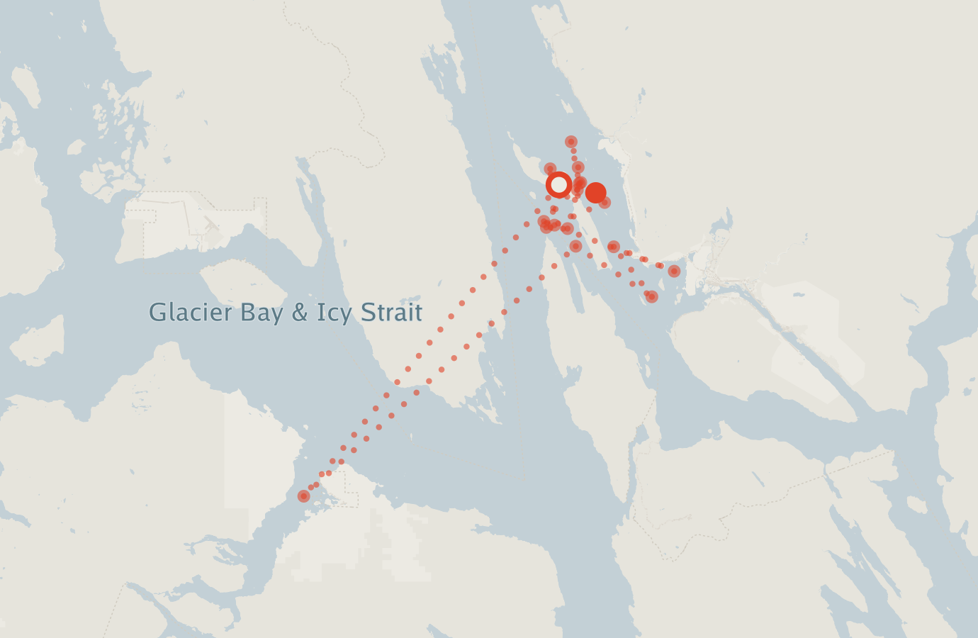 Activity map — real sighting points on an OpenStreetMap basemap