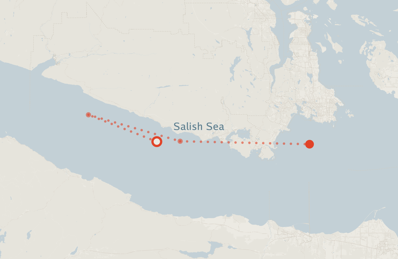 Activity map — real sighting points on an OpenStreetMap basemap