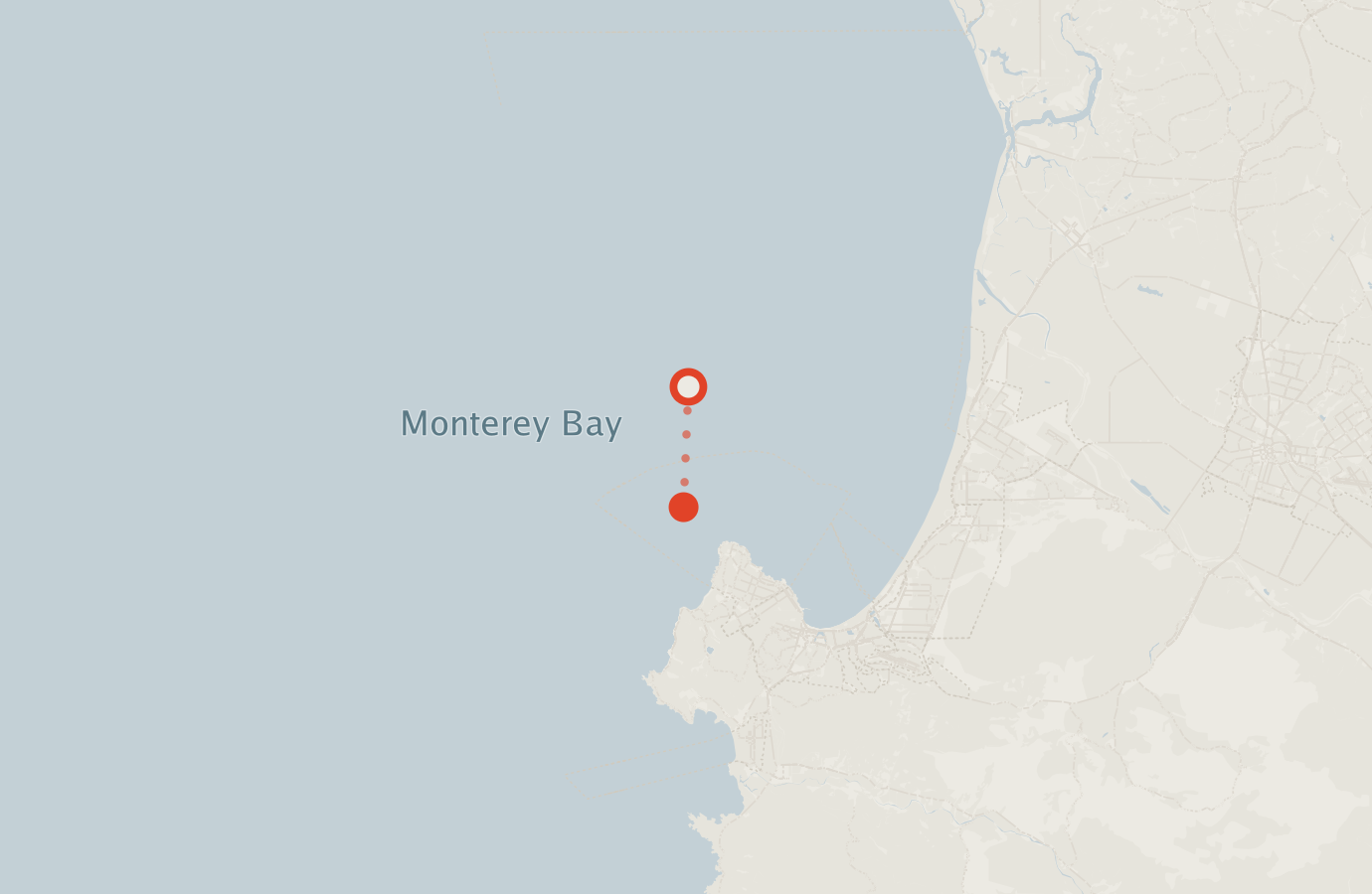Activity map — real sighting points on an OpenStreetMap basemap