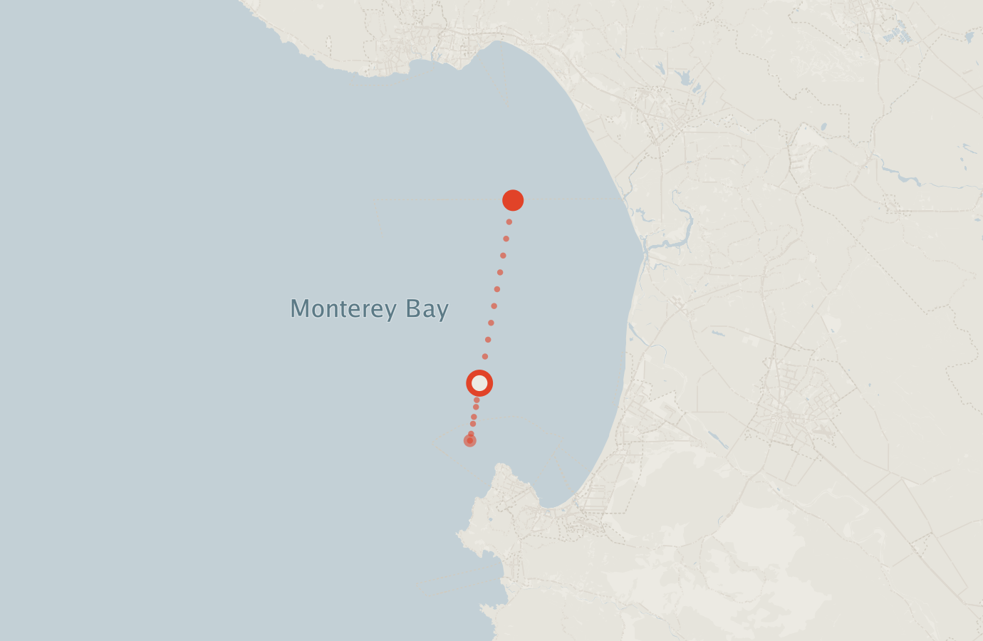 Activity map — real sighting points on an OpenStreetMap basemap