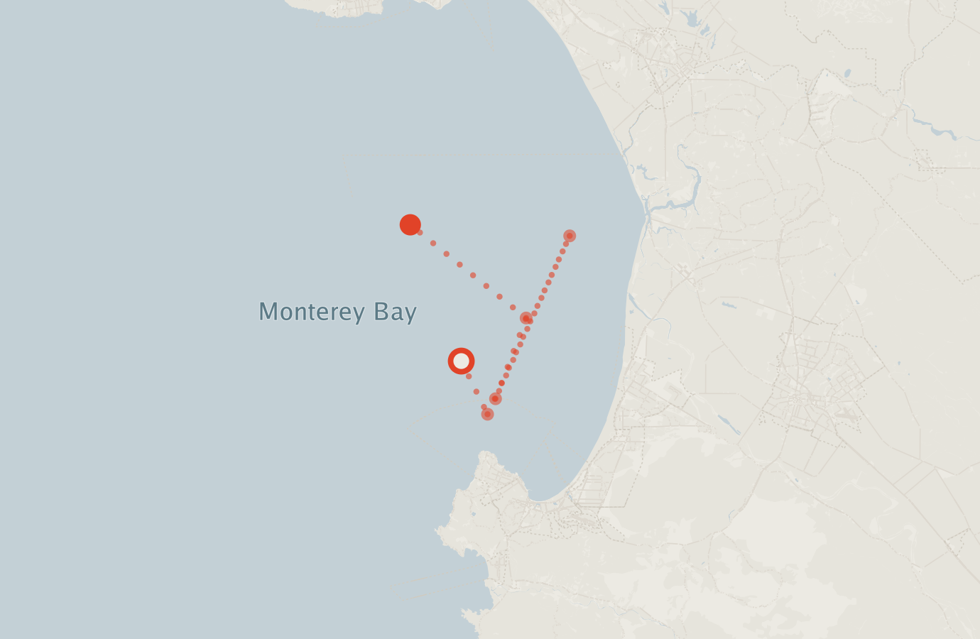 Activity map — real sighting points on an OpenStreetMap basemap