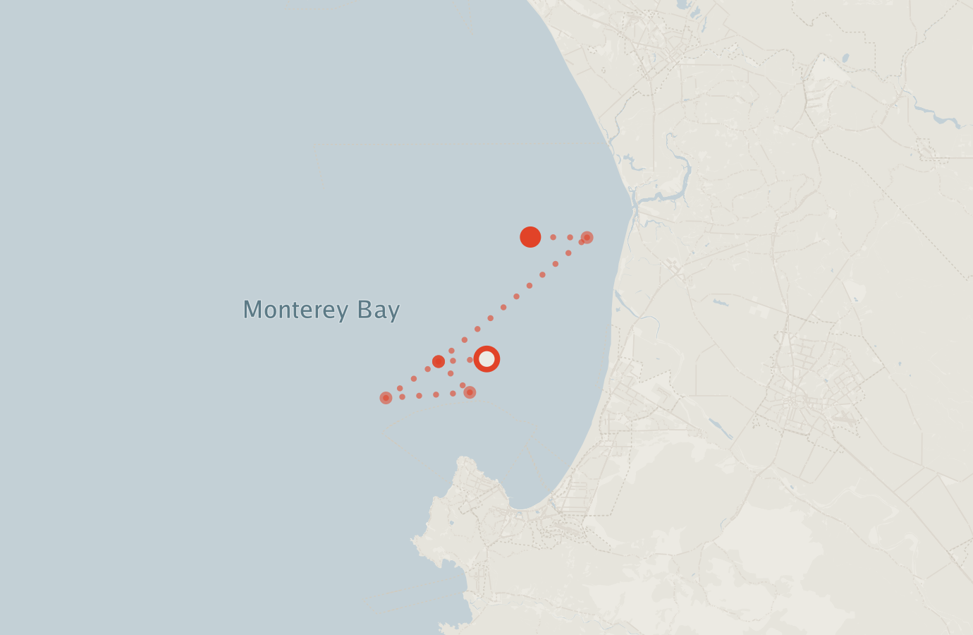 Activity map — real sighting points on an OpenStreetMap basemap