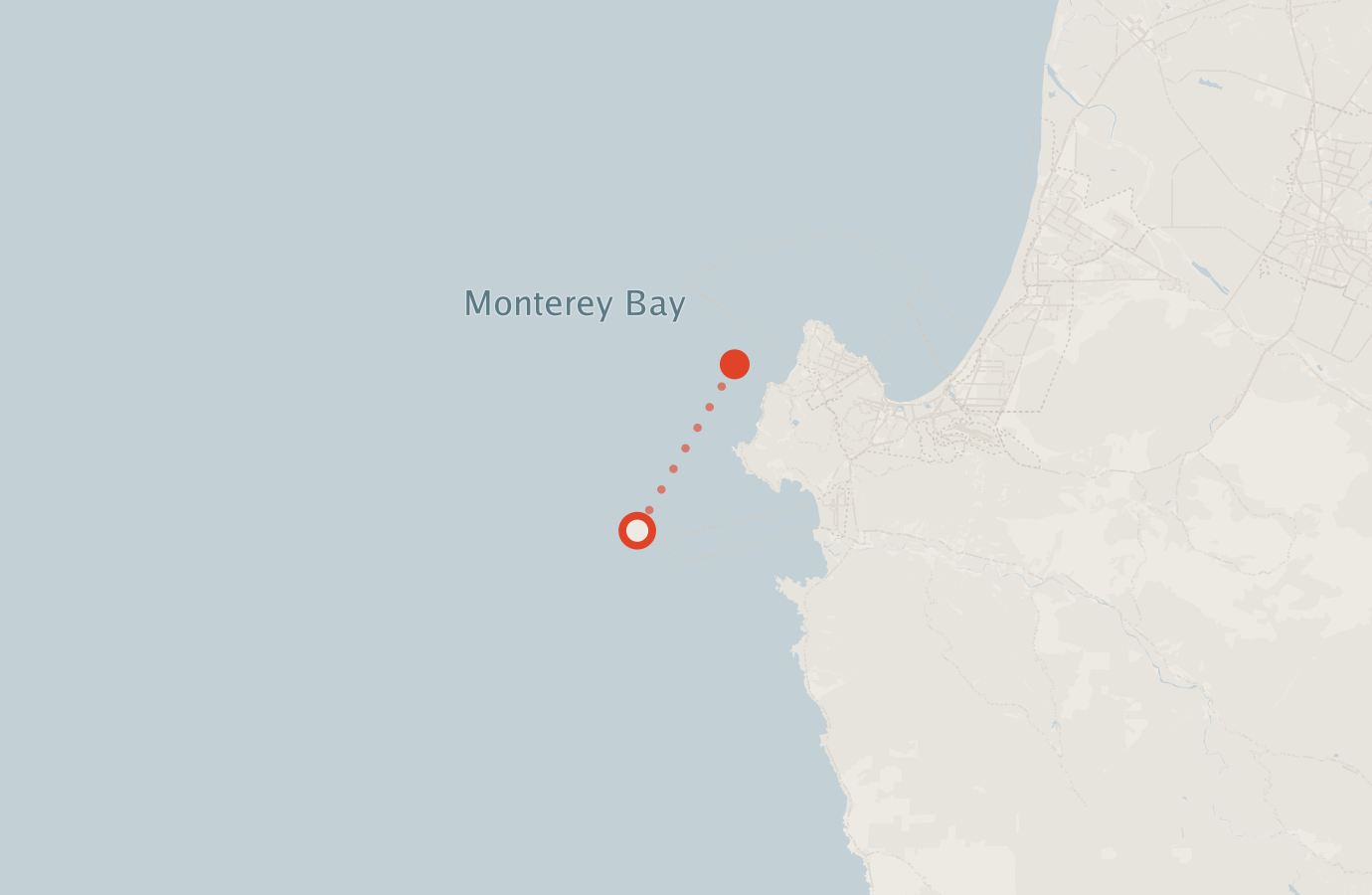 Activity map — real sighting points on an OpenStreetMap basemap