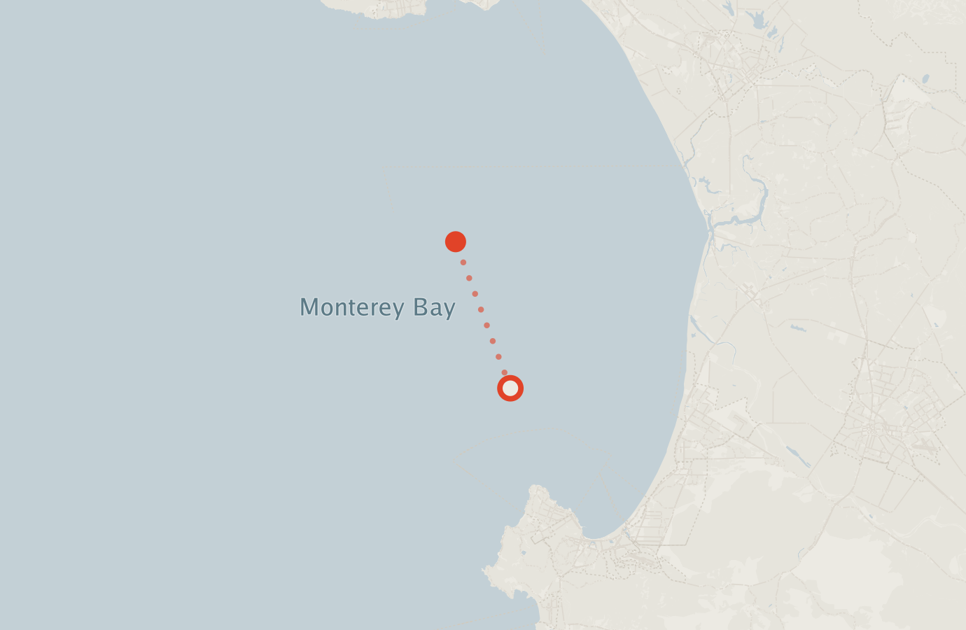 Activity map — real sighting points on an OpenStreetMap basemap