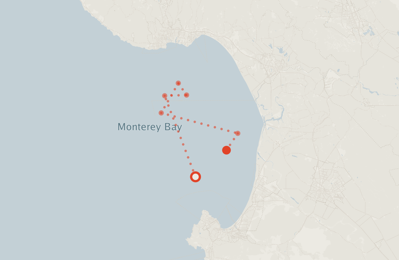 Activity map — real sighting points on an OpenStreetMap basemap