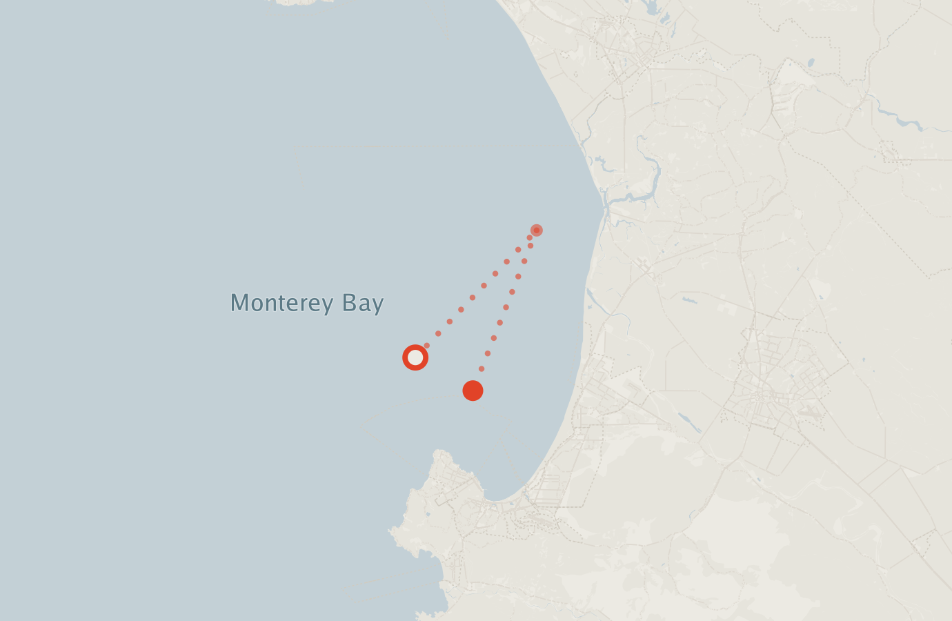 Activity map — real sighting points on an OpenStreetMap basemap