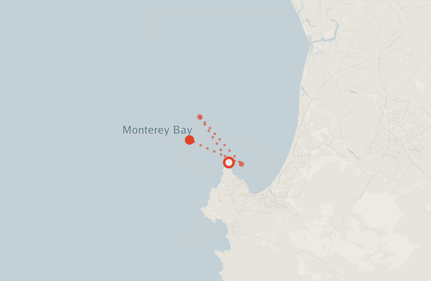 Activity map — real sighting points on an OpenStreetMap basemap
