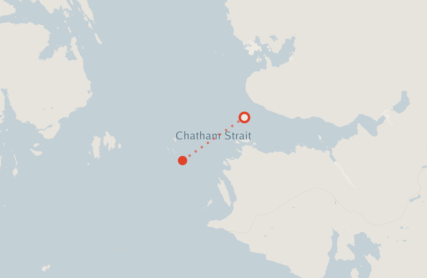 Activity map — real sighting points on an OpenStreetMap basemap