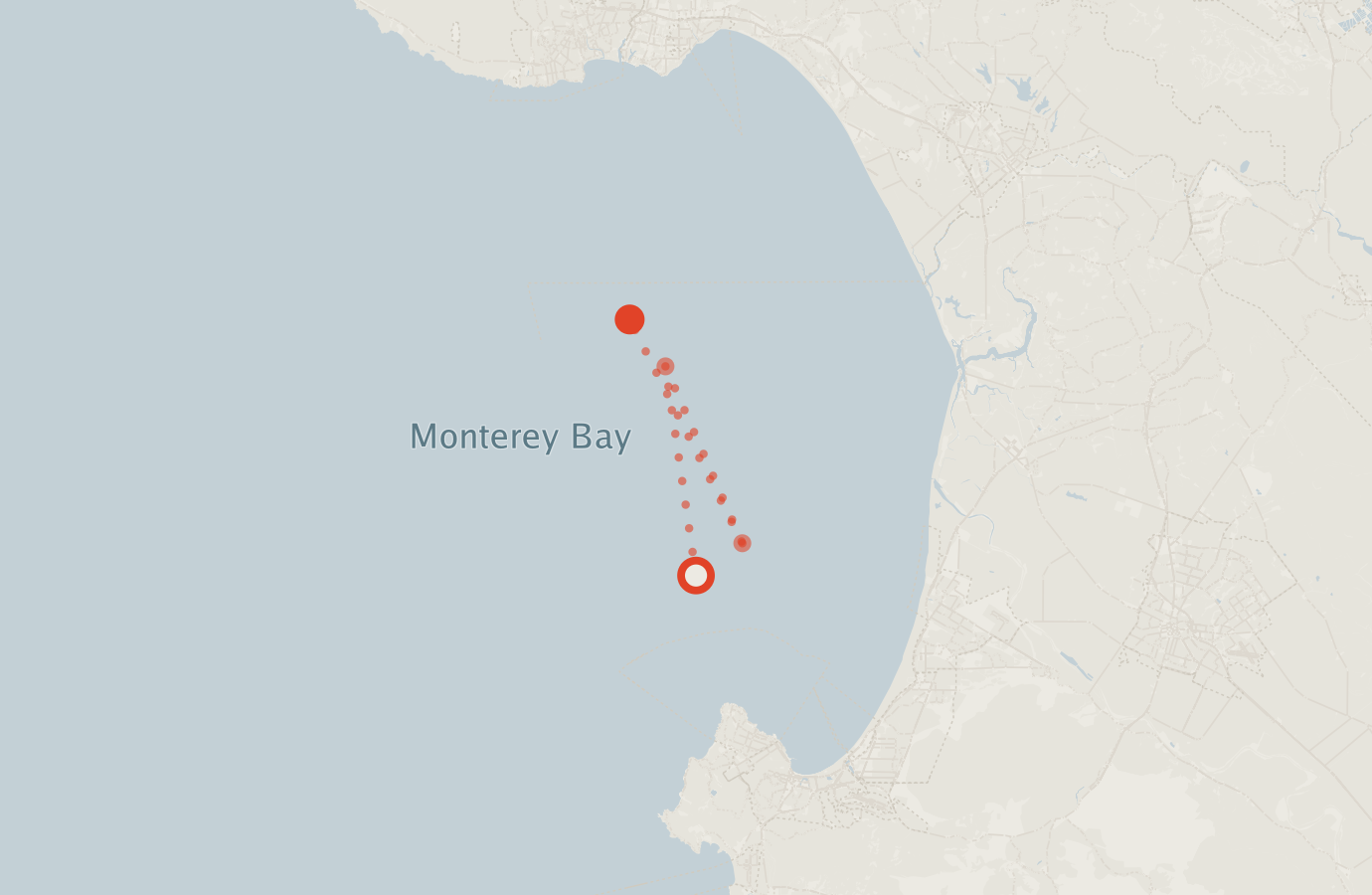 Activity map — real sighting points on an OpenStreetMap basemap