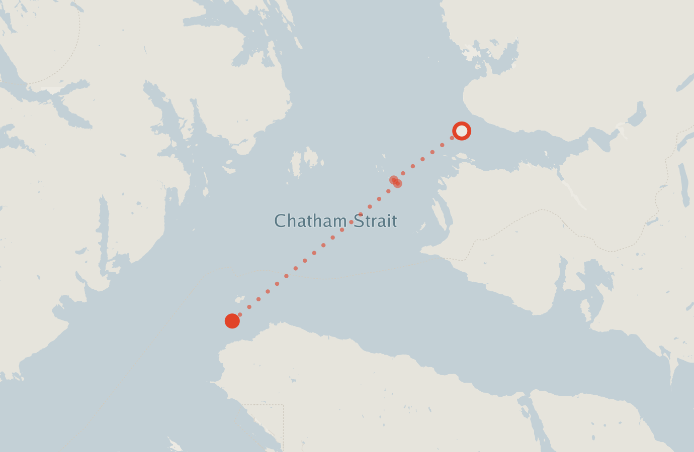 Activity map — real sighting points on an OpenStreetMap basemap