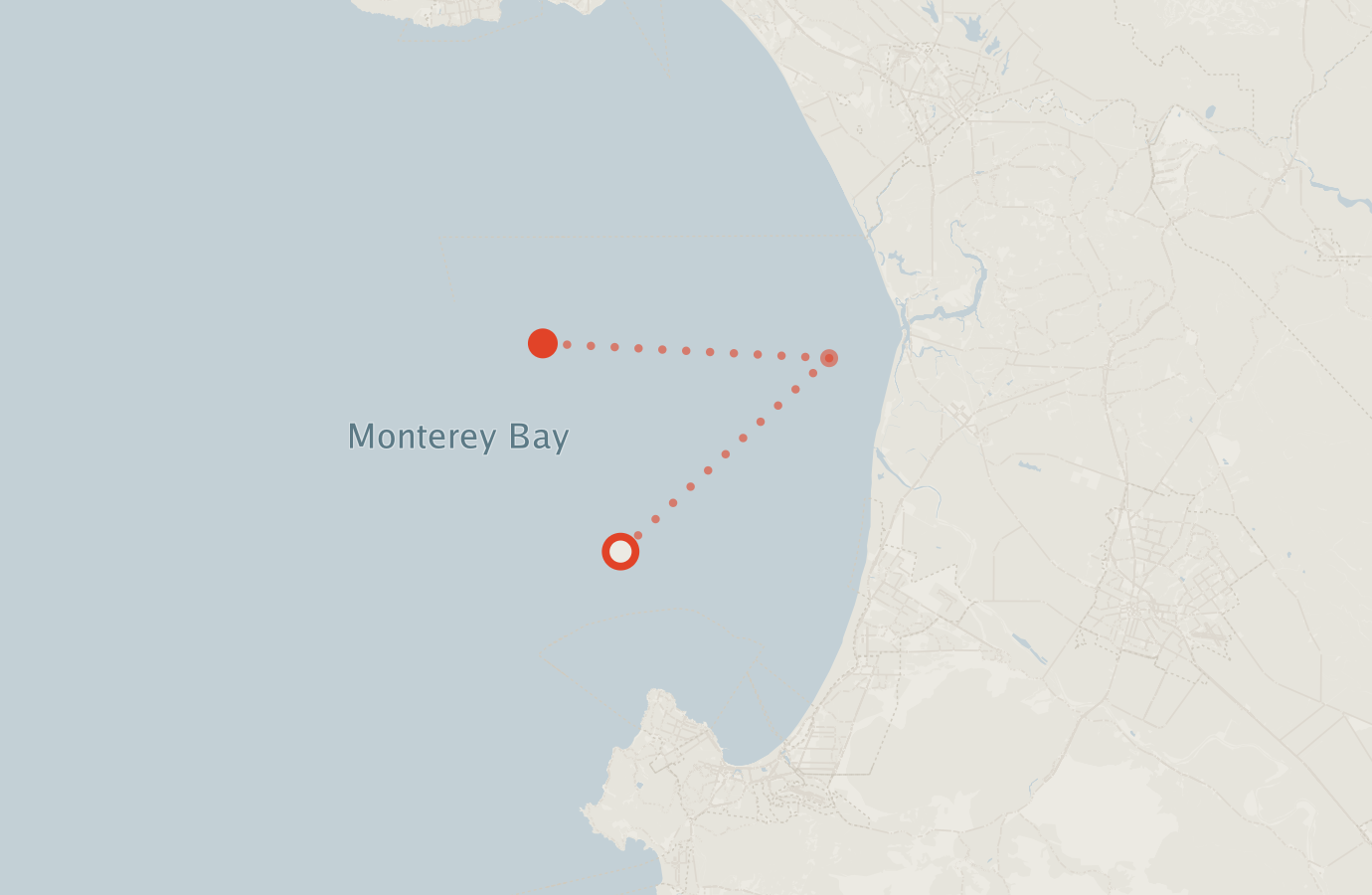 Activity map — real sighting points on an OpenStreetMap basemap