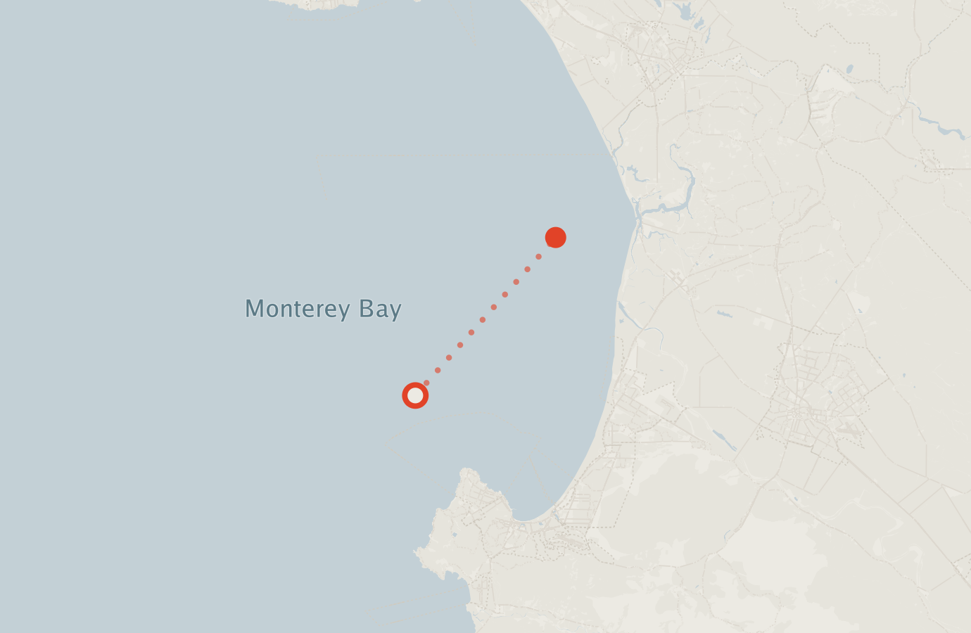 Activity map — real sighting points on an OpenStreetMap basemap