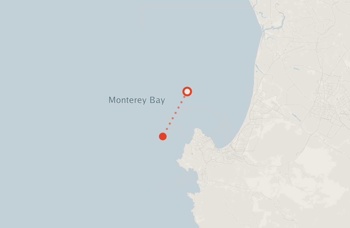 Activity map — real sighting points on an OpenStreetMap basemap