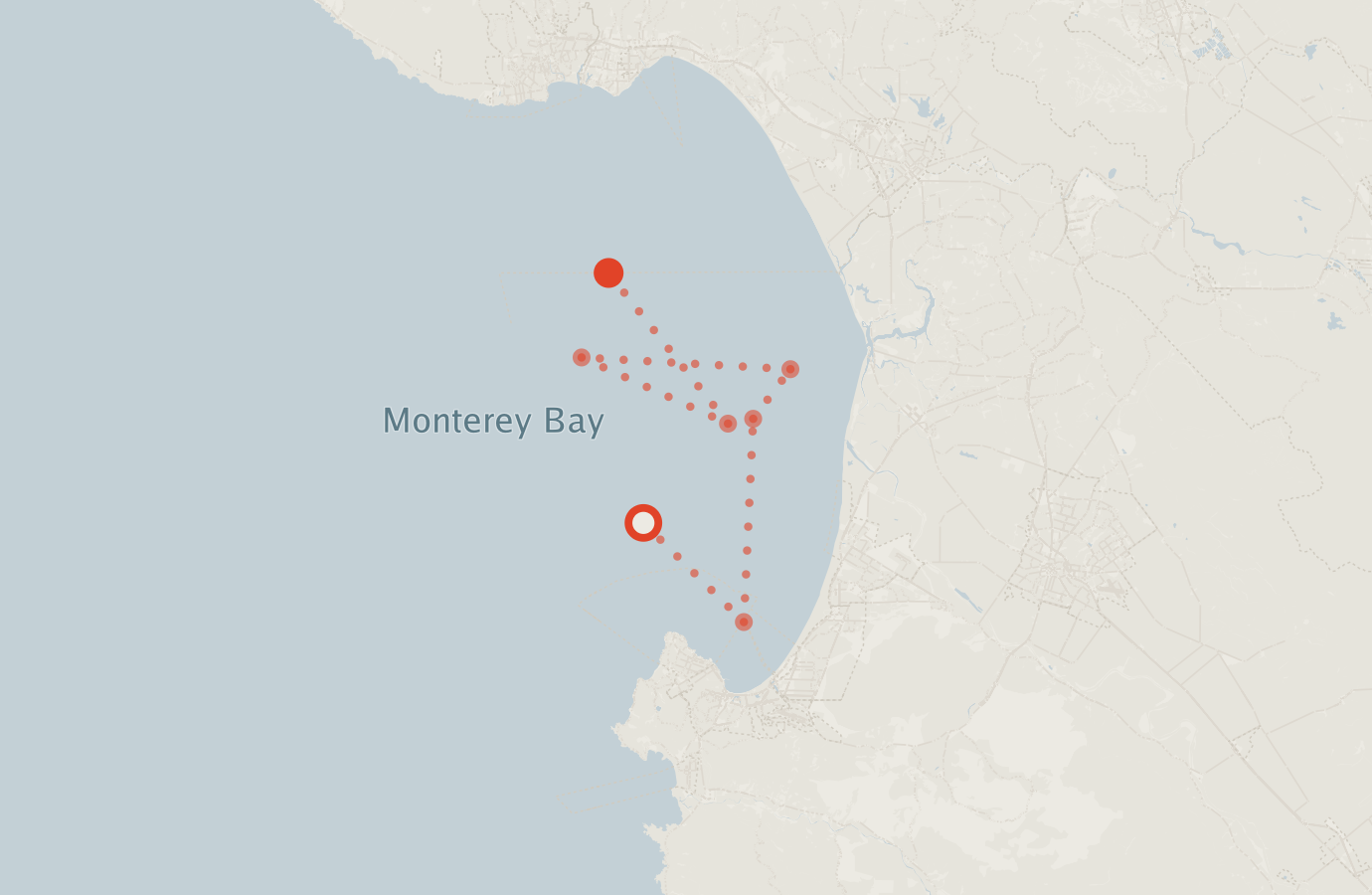 Activity map — real sighting points on an OpenStreetMap basemap