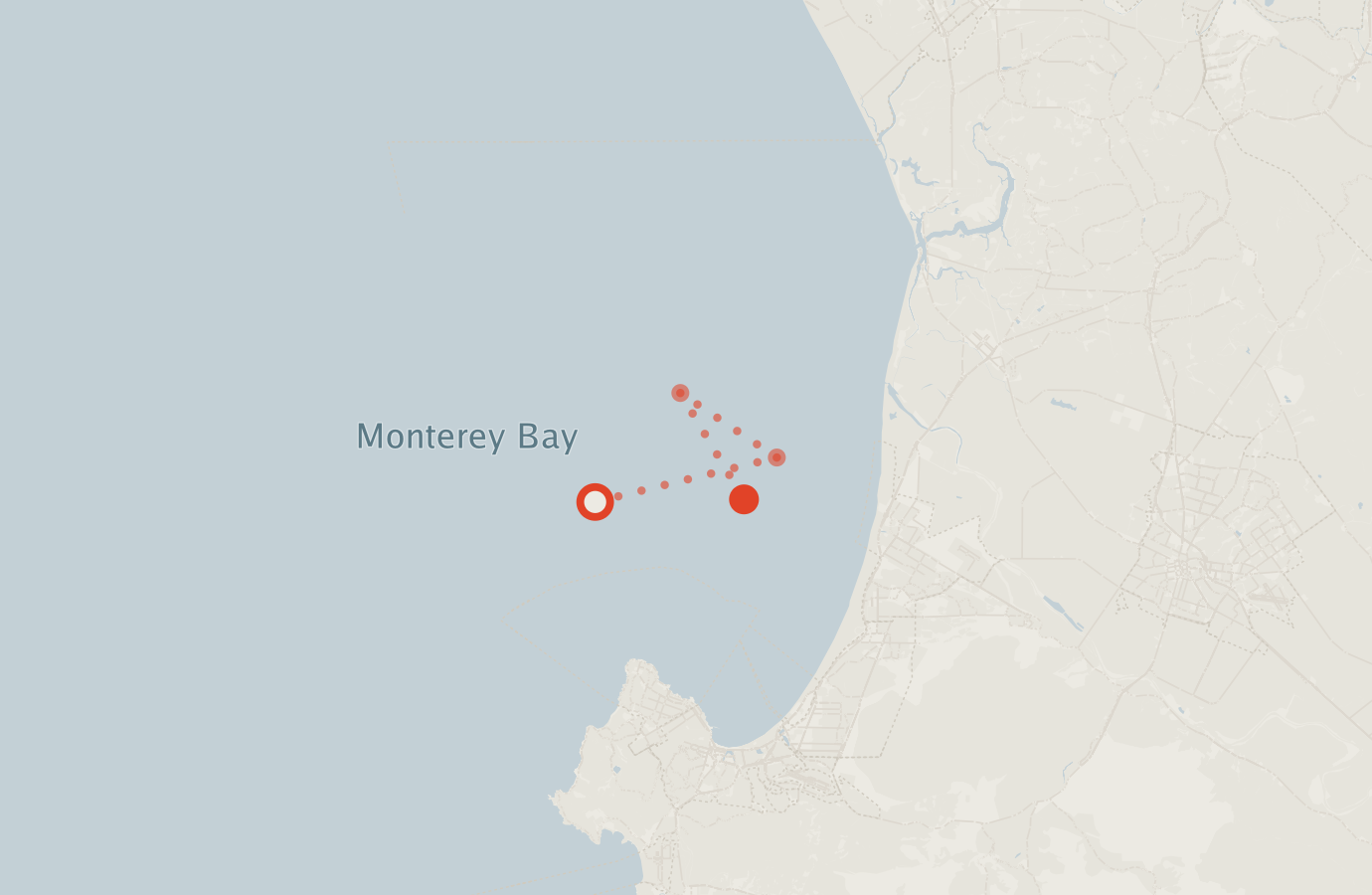Activity map — real sighting points on an OpenStreetMap basemap