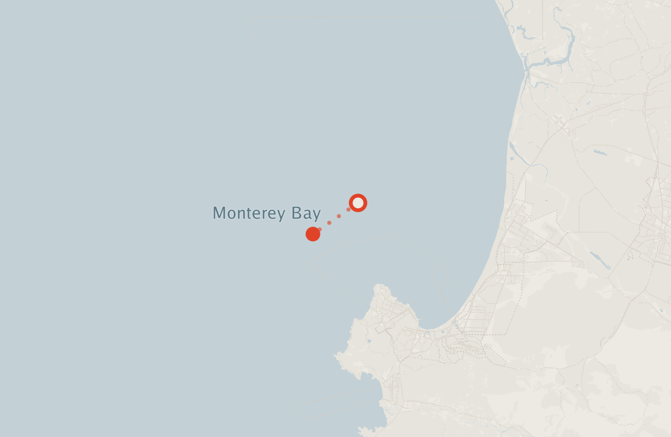 Activity map — real sighting points on an OpenStreetMap basemap