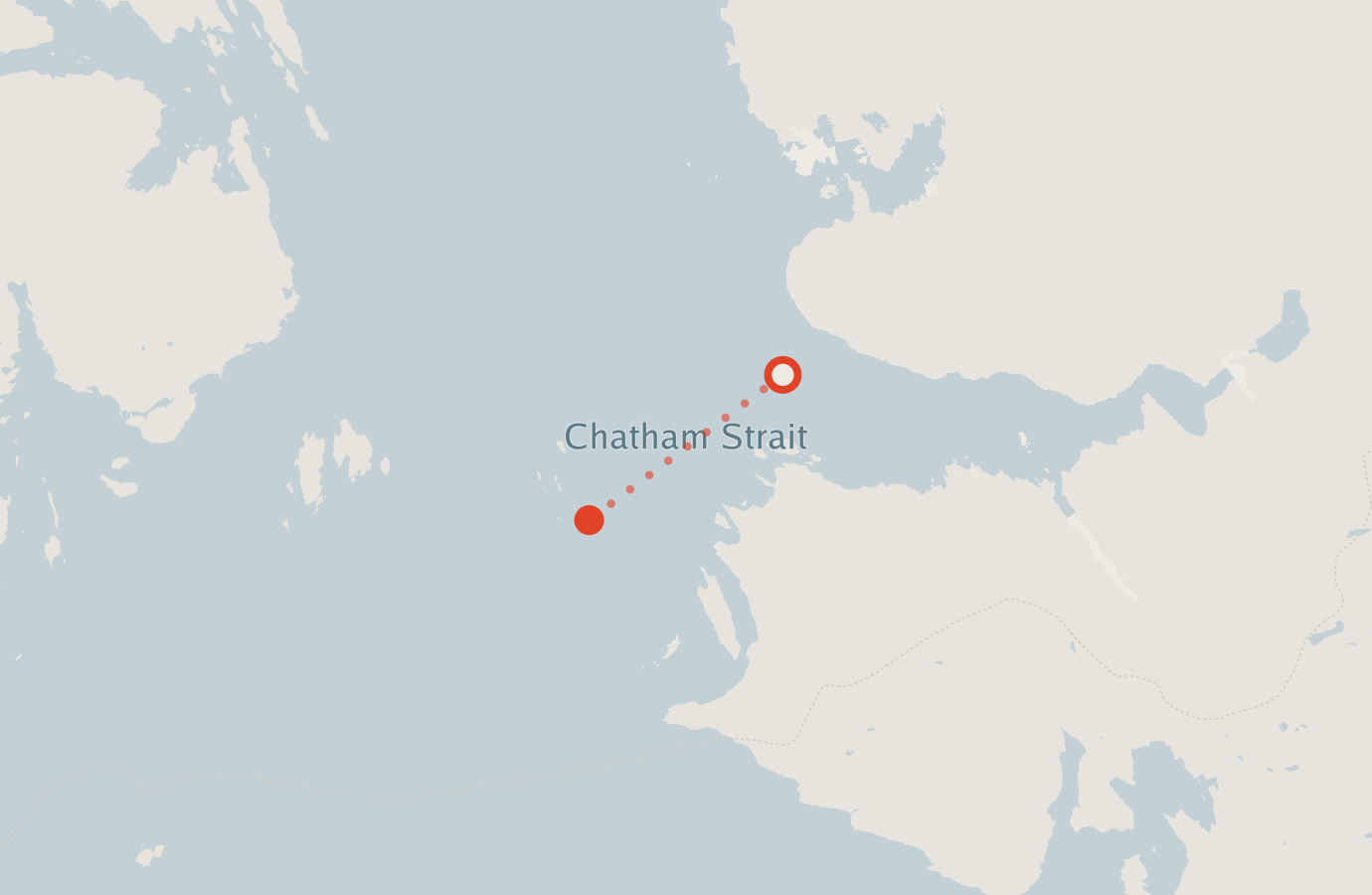 Activity map — real sighting points on an OpenStreetMap basemap
